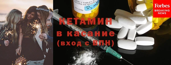 шишки Краснослободск