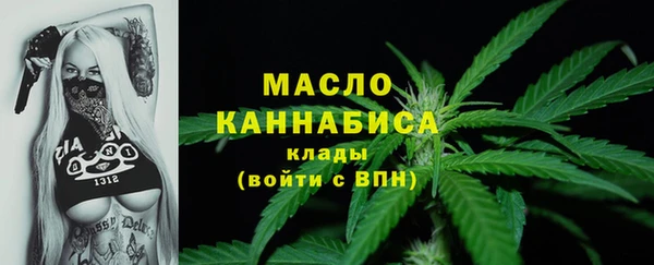 шишки Краснослободск