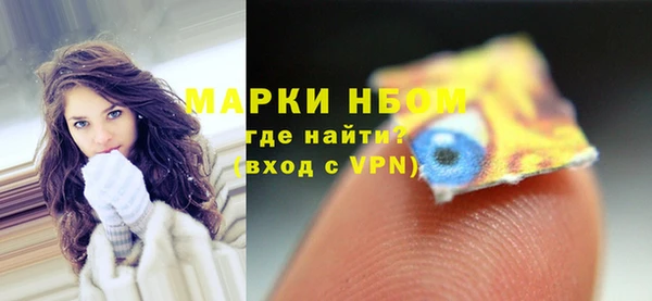 шишки Краснослободск