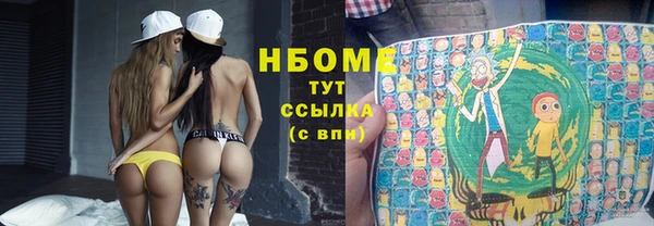 шишки Краснослободск