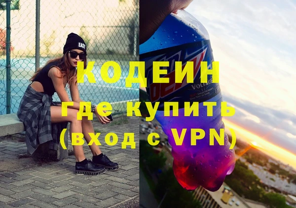 шишки Краснослободск