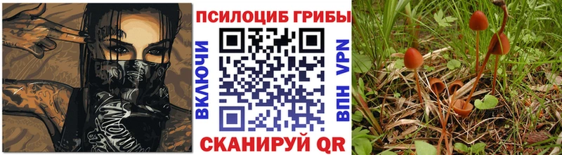 Купить закладки  Дегтярск  Псилоцибиновые грибы Cubensis 